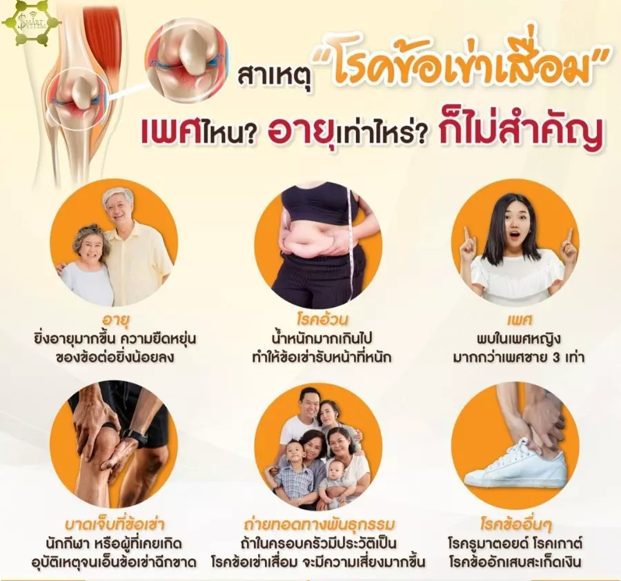 anyconv.com s 47693829
