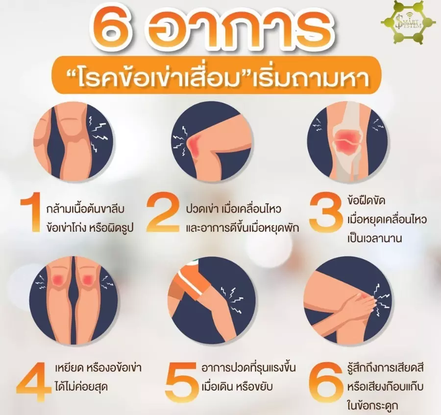anyconv.com s 47693831