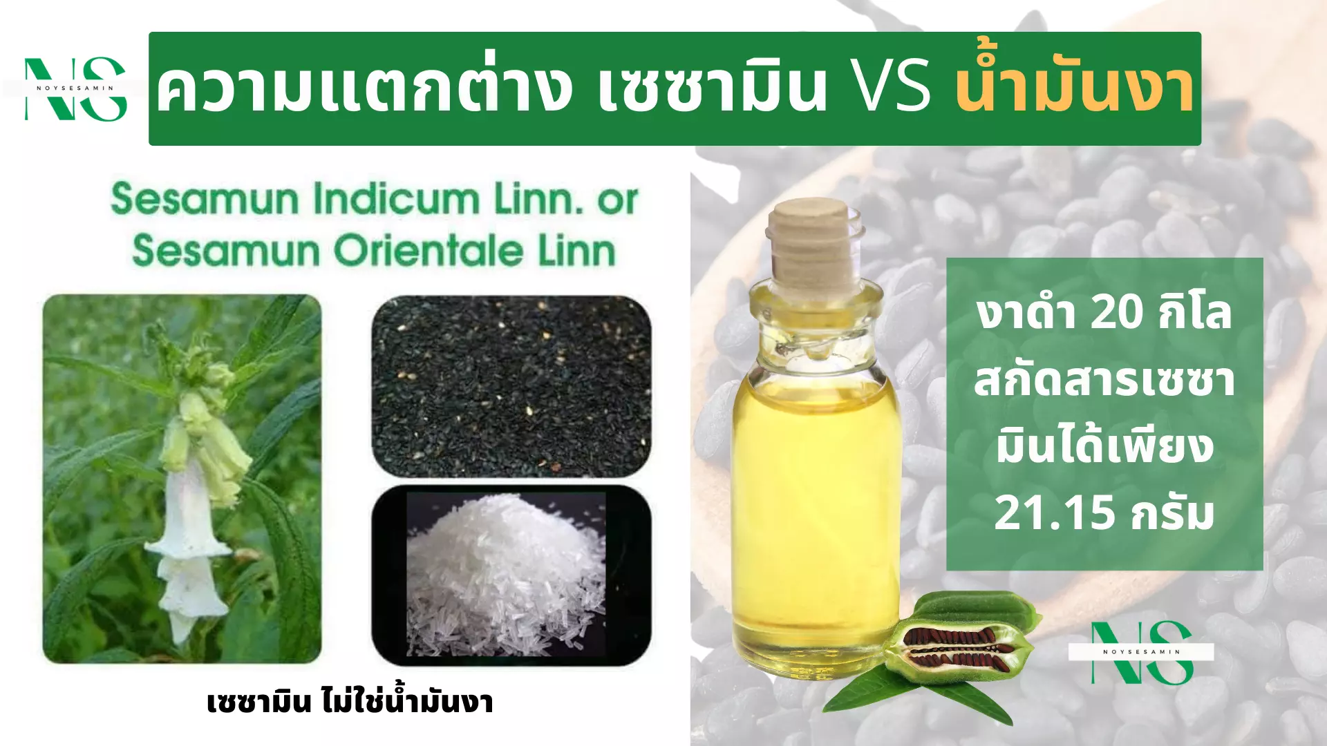 anyconv.com ทำเว็บจ้า (4)
